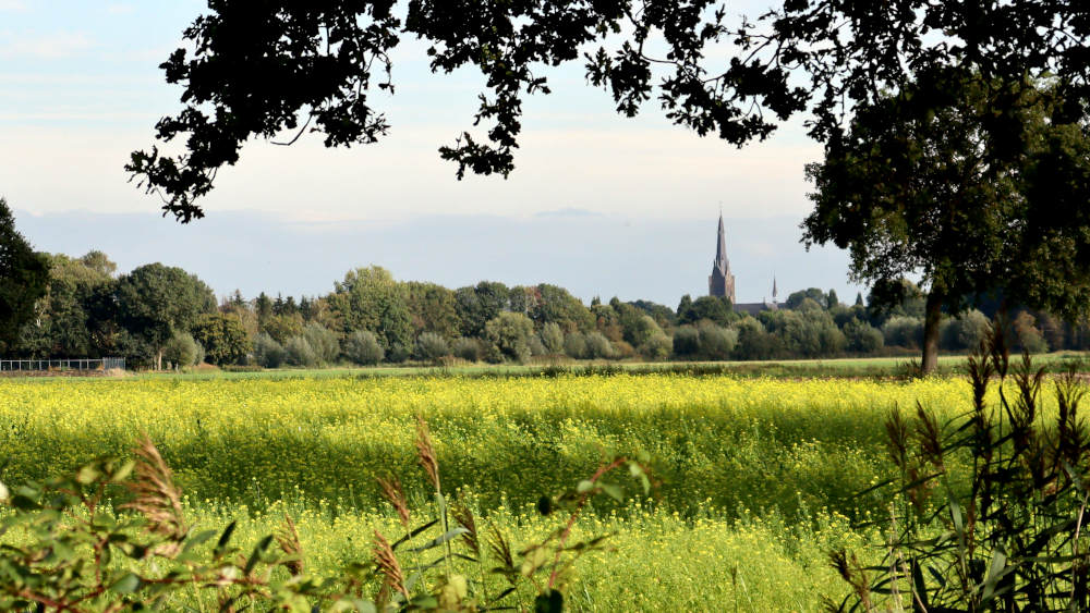De wandeleoute eindigt in Heeswijk, waarvan je als eerste de kerk weer ziet.