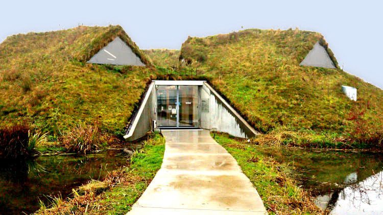 het gebouw van het Biesbosch Museum heeft een dak begroeid met gras en kruiden.