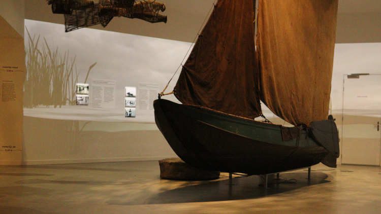 Boot (griendark) als onderdeel van de expositie in het Biesbosch Museum