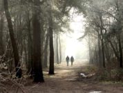 Wandelaars in Bomenpark Heesch in De Maashors