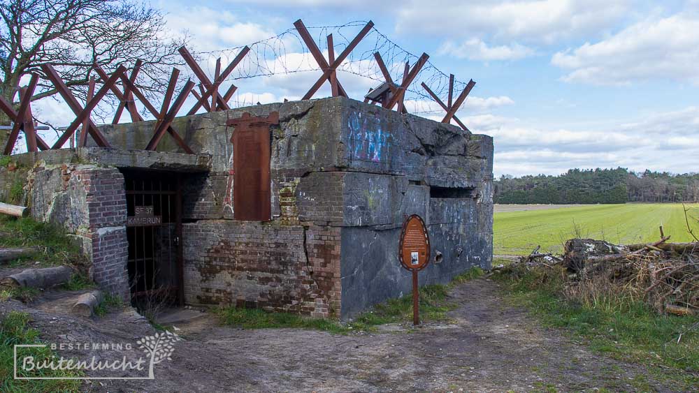 Duitse Bunker aan de rand van het belevingsbos