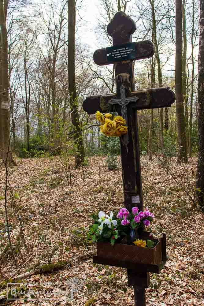 Russisch kruis in Vijlenerbos op de grens met België