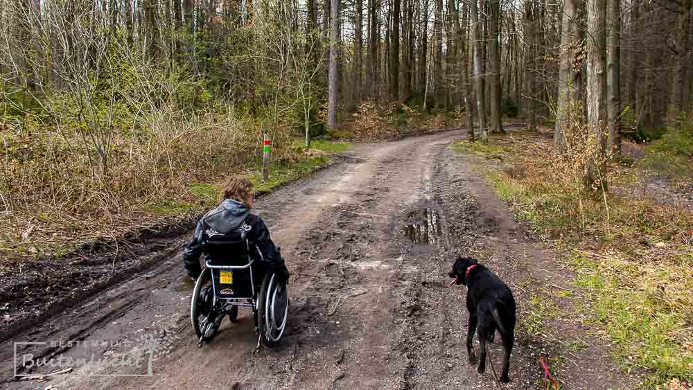 rolstoelpad in Vijlenerbos is moeilijker begaanbaar op regenachtige dagen 