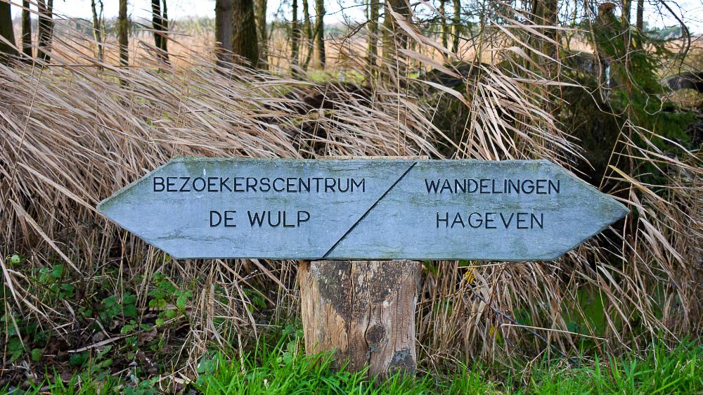 plateaux-het hageven op de grens van België en Nederland