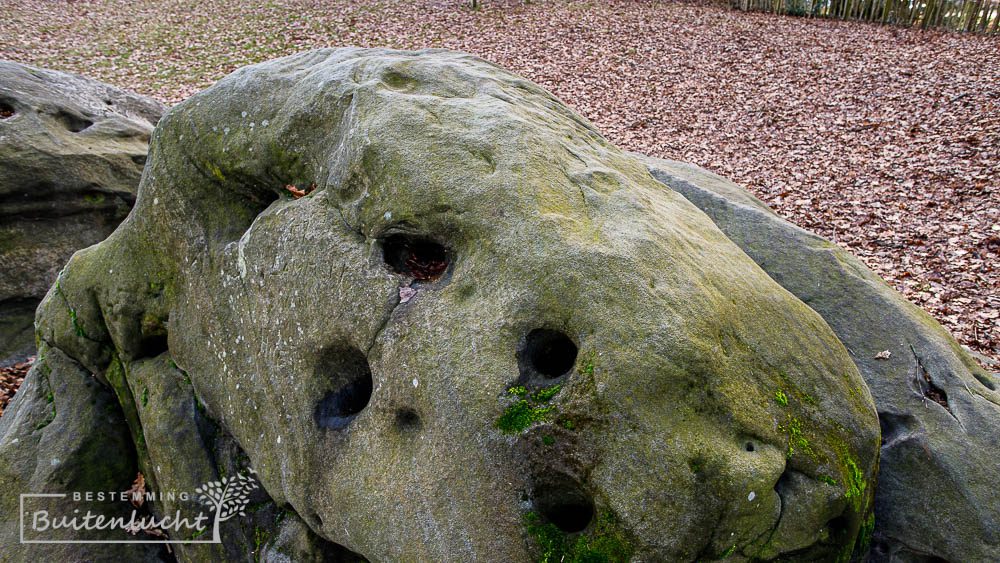 gaten in de steen door oude boomwortels