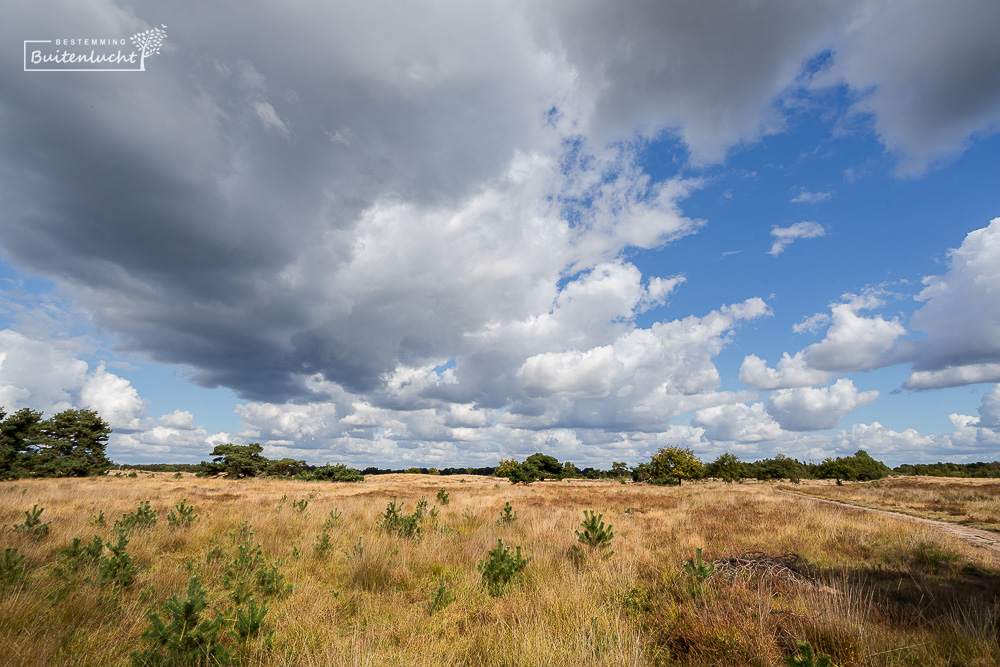Wolkenluchten boven de Plateaux-Hageven tijdens het wandelen