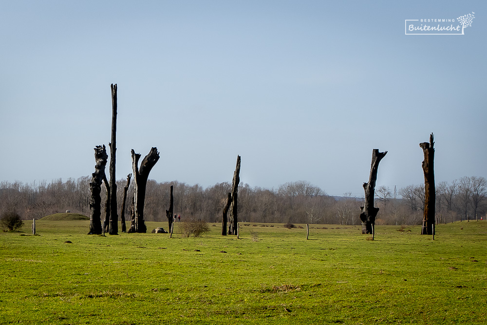 Woodhenge in Meers is een leuk foto-object en mooie locatie voor portretfotografie